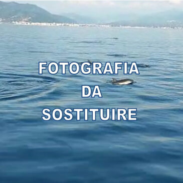 ALGHE E FORMAZIONI CORALLINE